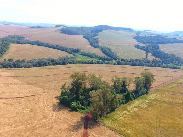 Fazenda com 1129414m², à venda, no bairro Zona Rural em Marilândia do Sul