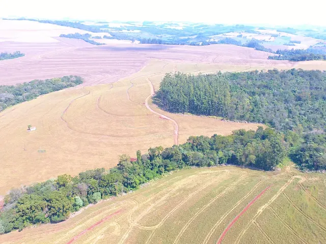 Fazenda com 1129414m², à venda, no bairro Zona Rural em Marilândia do Sul