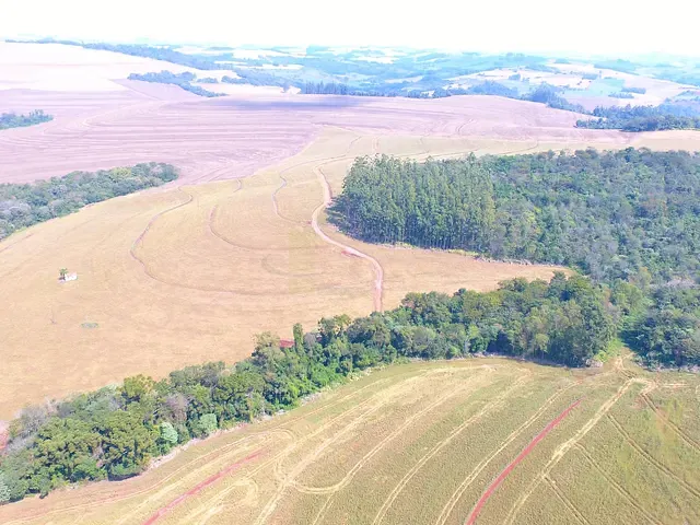 Fazenda com 1129414m², à venda, no bairro Zona Rural em Marilândia do Sul