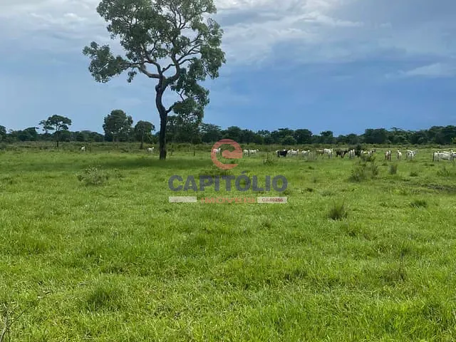 Fazenda com 40m² 3 quartos e 2 banheiros, à venda, no bairro Central em Jussara