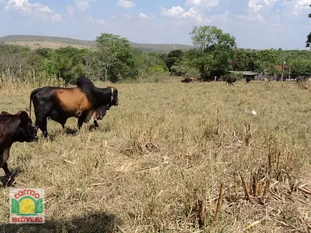 Fazenda com 1645600m², à venda, no bairro Zona Rural em Silvânia