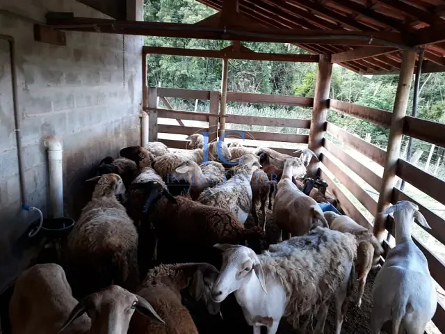 Fazenda com 435600000m² 2 quartos e 1 banheiro, à venda, no bairro Vila Cesari Purgato em Mombuca