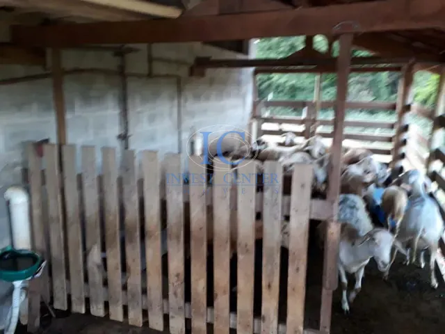 Fazenda com 435600000m² 2 quartos e 1 banheiro, à venda, no bairro Vila Cesari Purgato em Mombuca