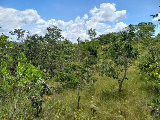 Fazenda com 2178000m², à venda, no bairro Zona Rural em Luziânia