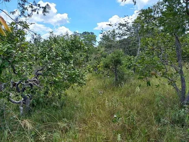 Fazenda com 2178000m², à venda, no bairro Zona Rural em Luziânia