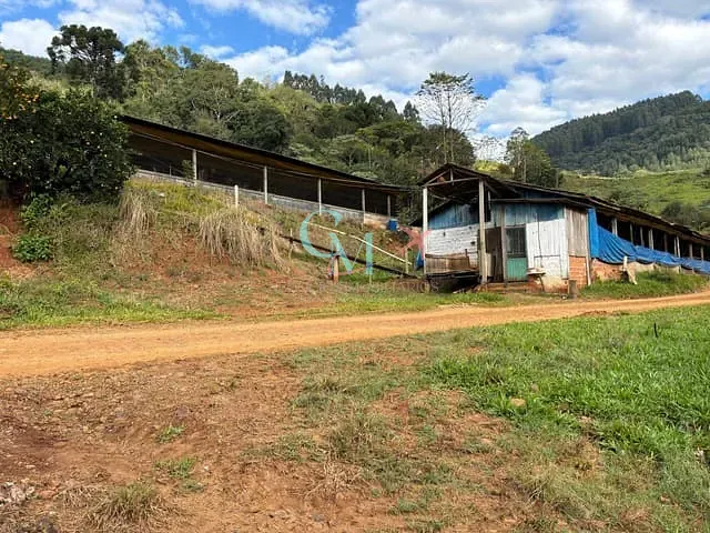 Fazenda com 290m² 4 quartos e 2 banheiros, à venda, no bairro Interior em Faxinal dos Guedes