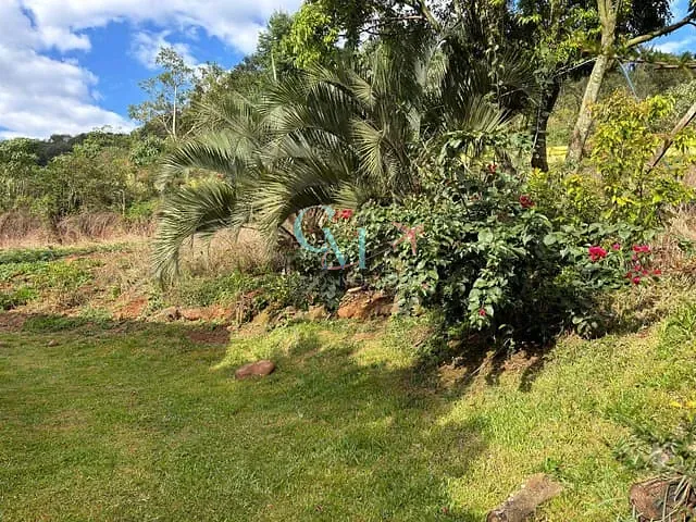 Fazenda com 290m² 4 quartos e 2 banheiros, à venda, no bairro Interior em Faxinal dos Guedes