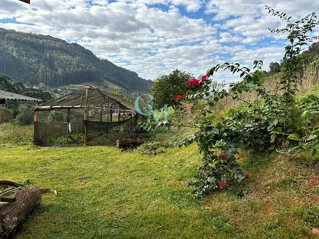 Fazenda com 290m² 4 quartos e 2 banheiros, à venda, no bairro Interior em Faxinal dos Guedes
