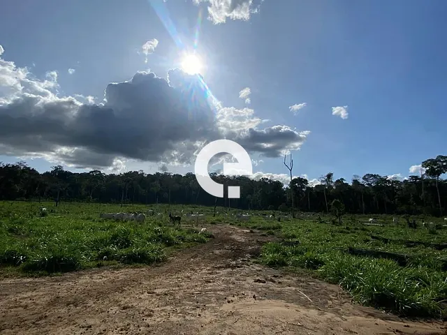Fazenda com 101m², à venda, no bairro Novo Horizonte em Prainha