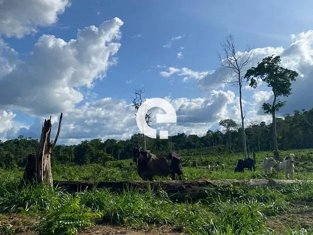 Fazenda com 101m², à venda, no bairro Novo Horizonte em Prainha