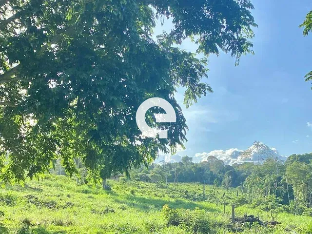 Fazenda com 101m², à venda, no bairro Novo Horizonte em Prainha