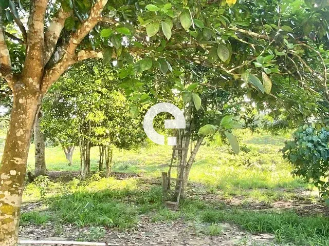 Fazenda com 101m², à venda, no bairro Novo Horizonte em Prainha