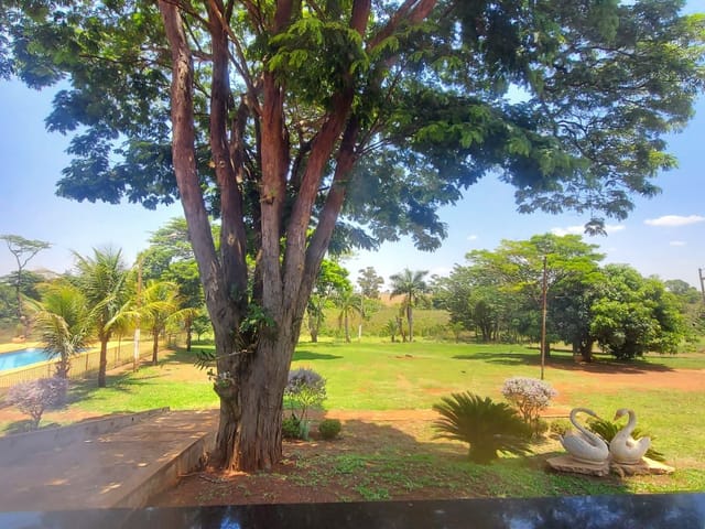 Fazenda com 121000m² 2 quartos e 1 banheiro, à venda, no bairro KM 1 em Miguelópolis