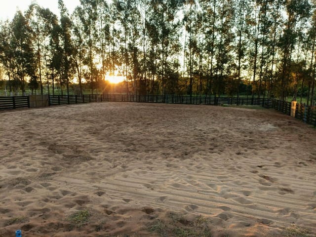 Fazenda com 121000m² 2 quartos e 1 banheiro, à venda, no bairro KM 1 em Miguelópolis