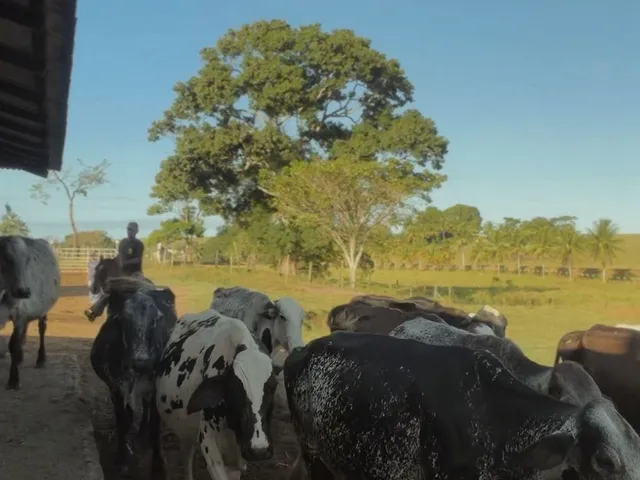 Fazenda com 218m² 1 quarto e 1 banheiro, à venda, no bairro Biririca em Fundão