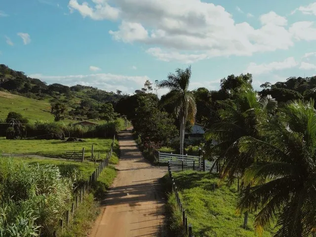 Fazenda com 218m² 1 quarto e 1 banheiro, à venda, no bairro Biririca em Fundão