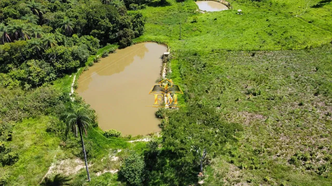 Fazenda, 240 hectares - Foto 2