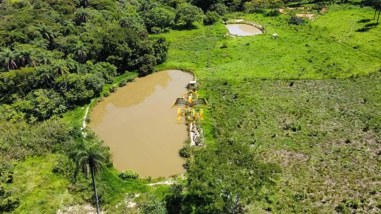 Fazenda, 240 hectares - Foto 3
