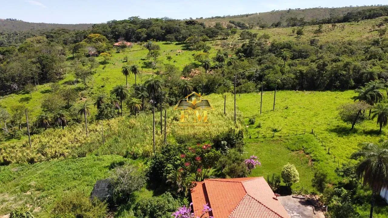Fazenda, 240 hectares - Foto 4