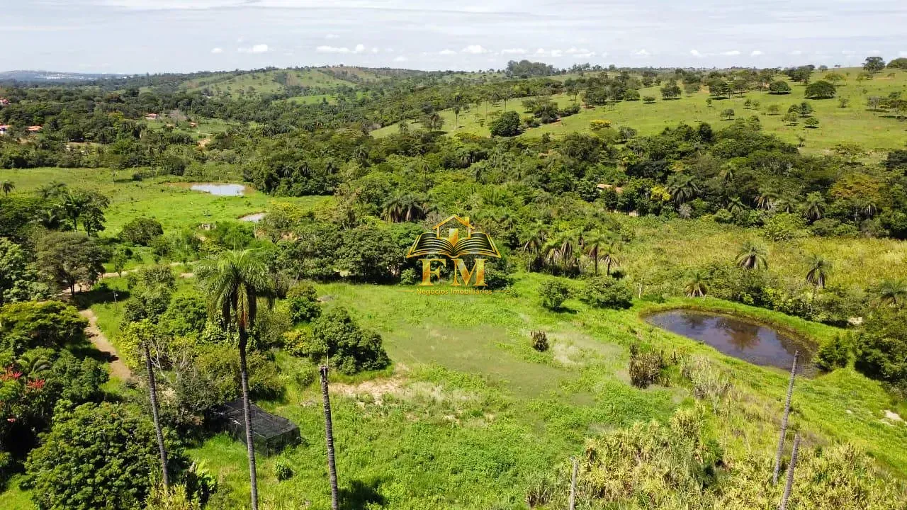 Fazenda, 240 hectares - Foto 6