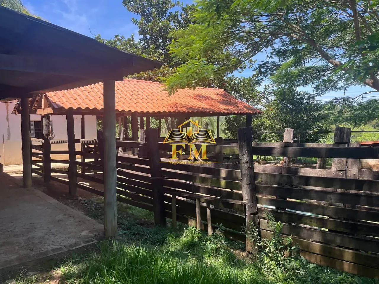 Fazenda, 240 hectares - Foto 23