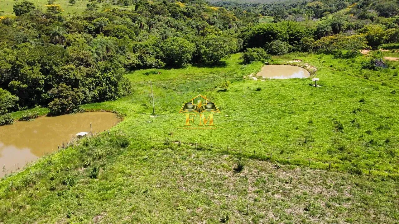 Fazenda, 240 hectares - Foto 7