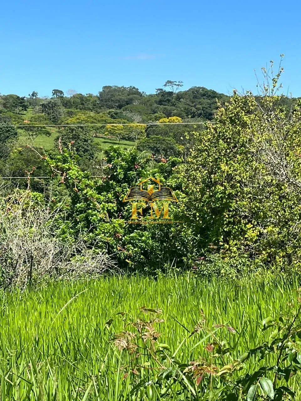 Fazenda, 240 hectares - Foto 13