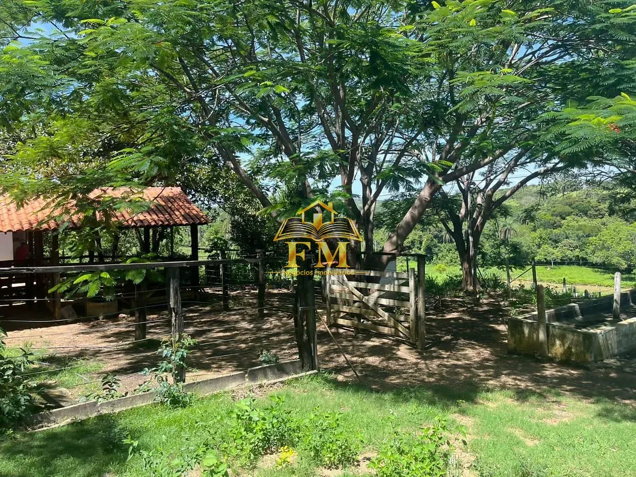 Fazenda, 240 hectares - Foto 24