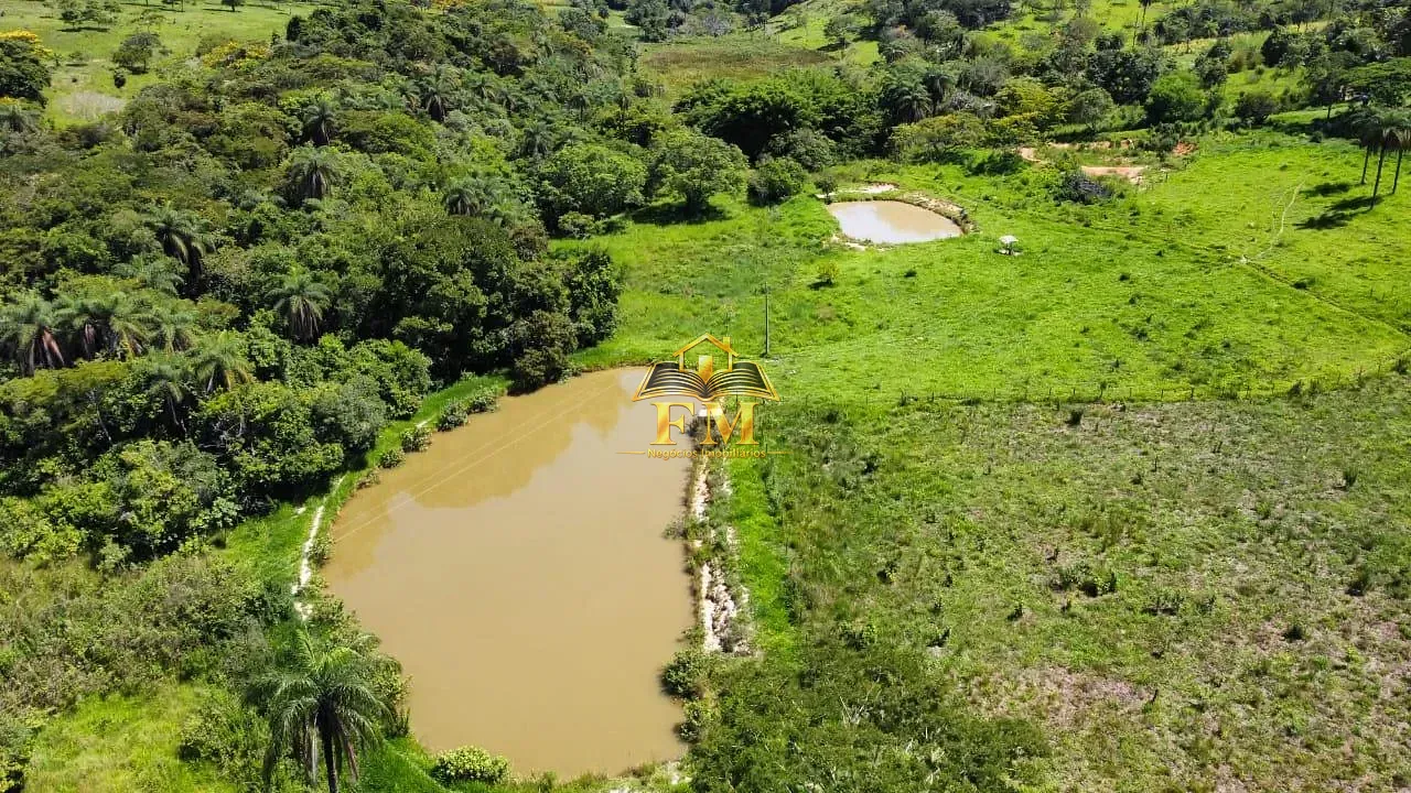 Fazenda, 240 hectares - Foto 15