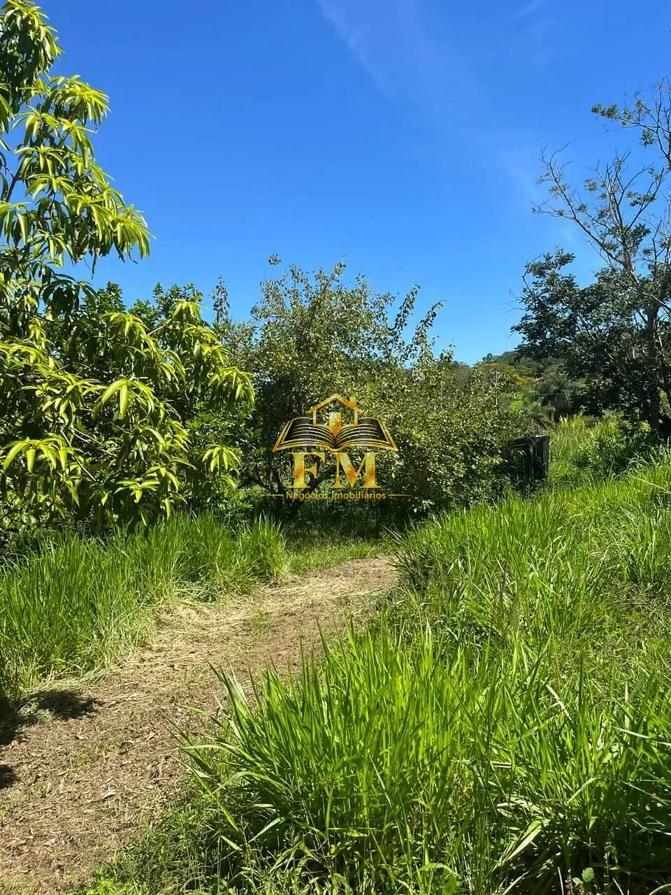 Fazenda, 240 hectares - Foto 17
