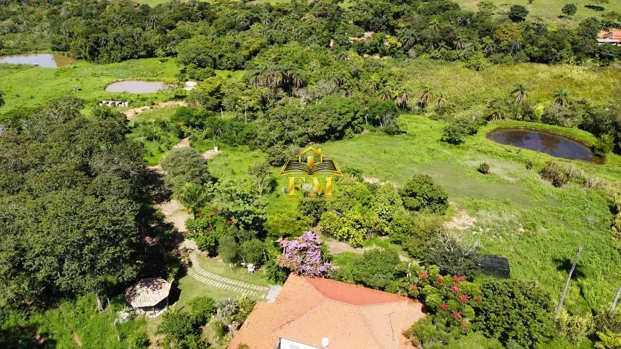 Fazenda, 240 hectares - Foto 19