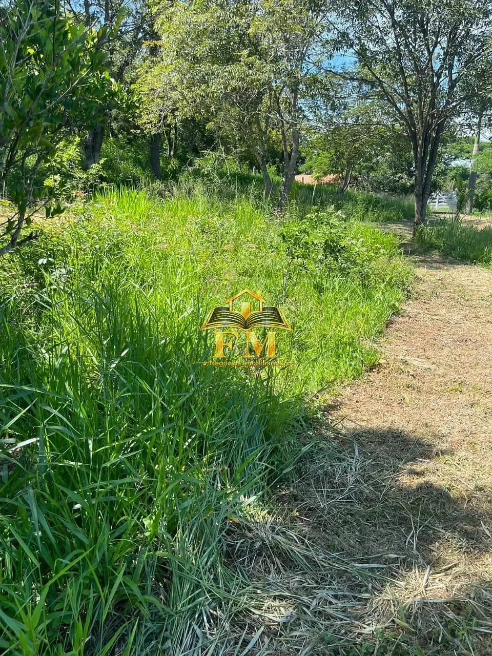 Fazenda, 240 hectares - Foto 21