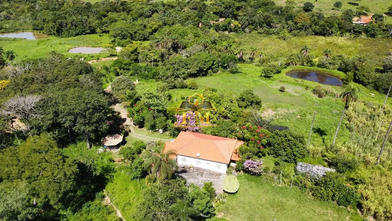 Fazenda, 240 hectares - Foto 27