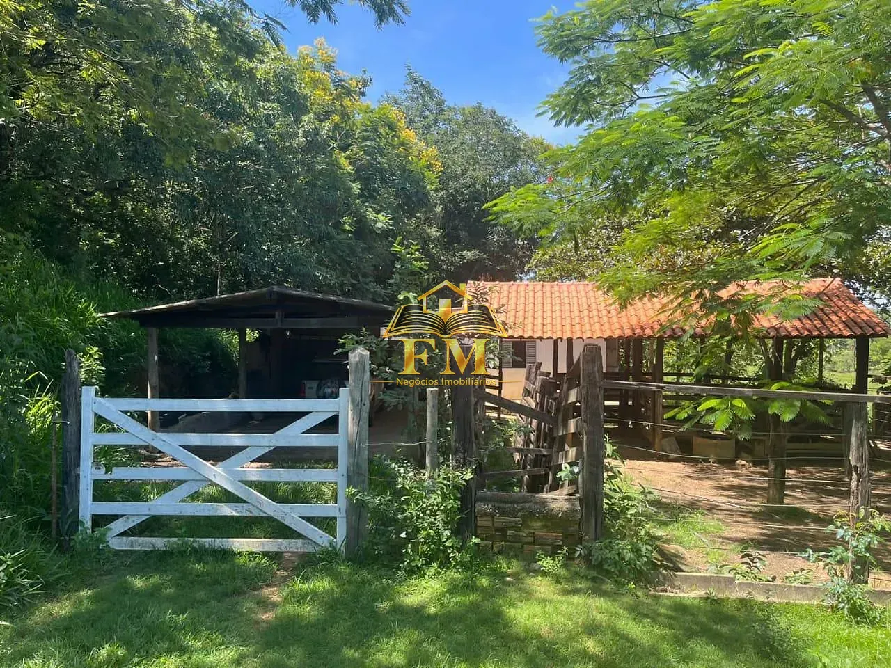 Fazenda, 240 hectares - Foto 29