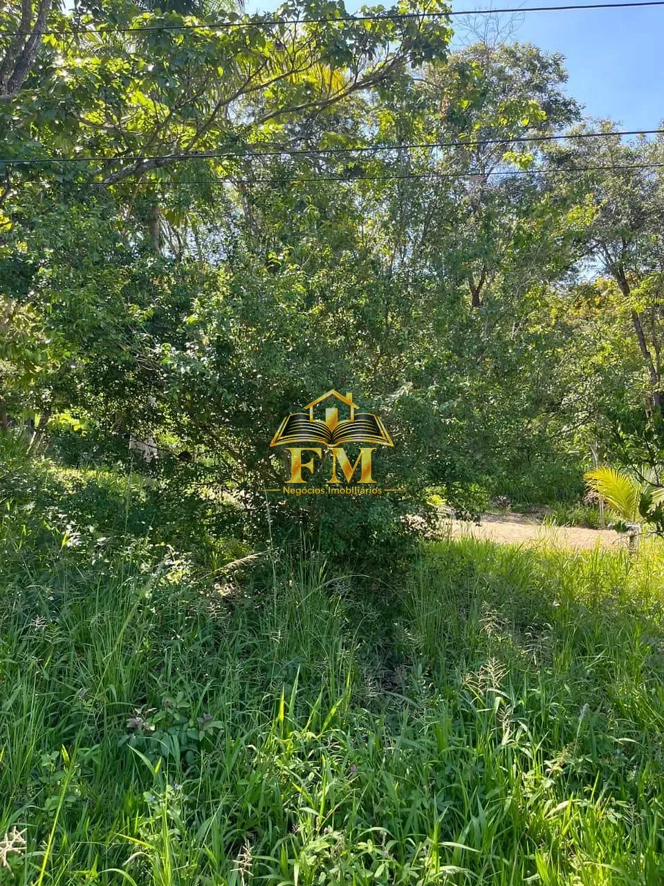 Fazenda, 240 hectares - Foto 20