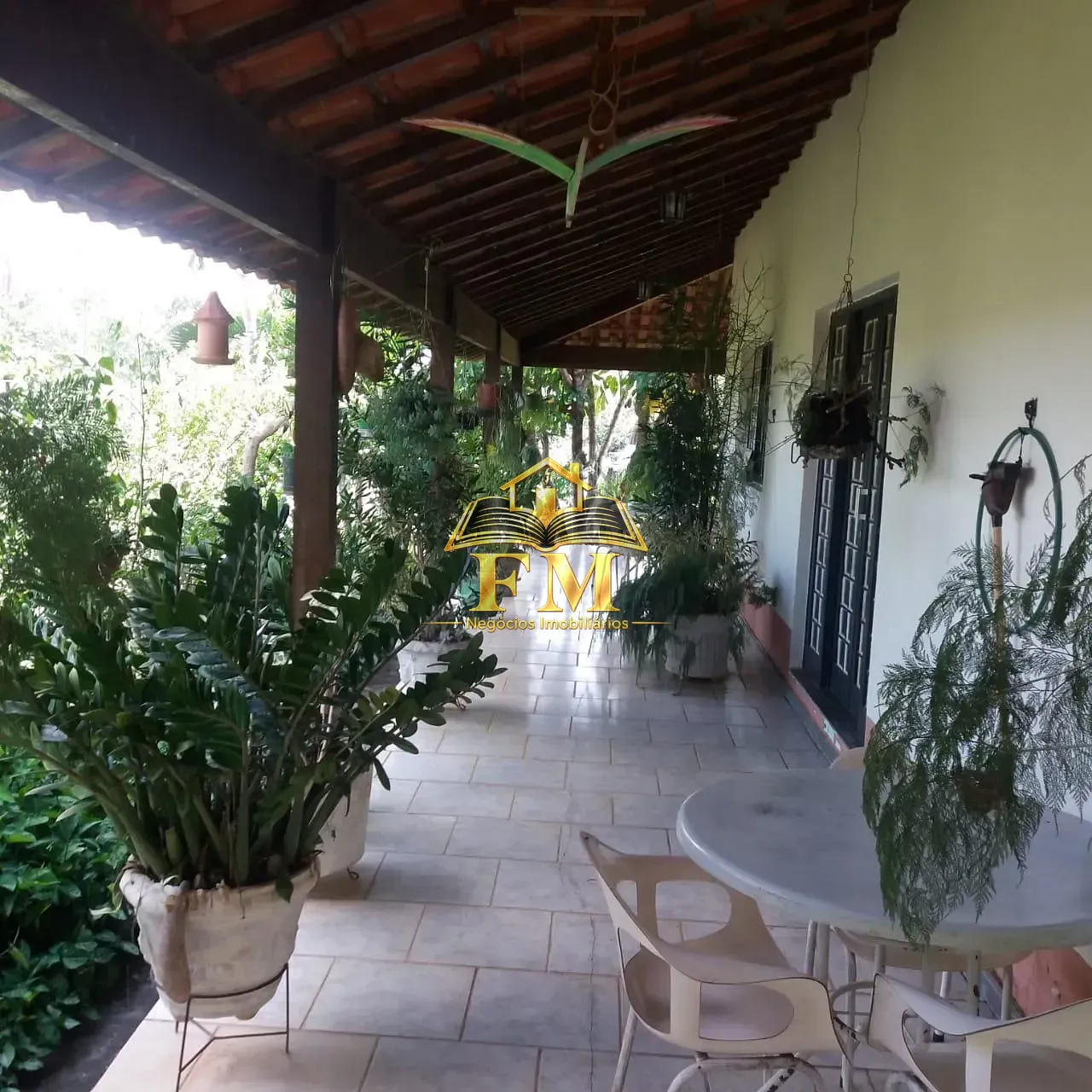 Fazenda, 240 hectares - Foto 33