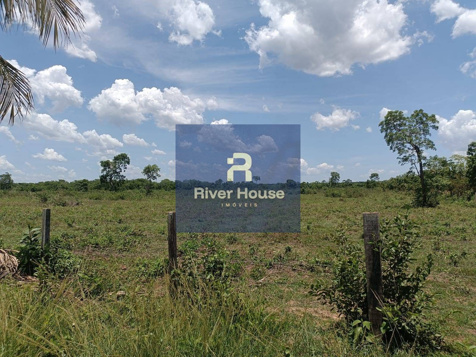 Fazenda à venda com 3 quartos, 180m² - Foto 8