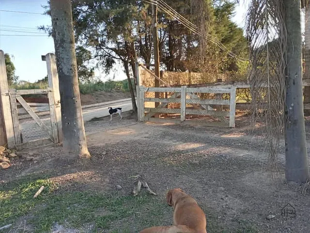 Fazenda com 36310m² 4 quartos e 2 banheiros, à venda, no bairro mombaca em Araçariguama