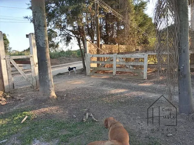 Fazenda com 36310m² 4 quartos e 2 banheiros, à venda, no bairro mombaca em Araçariguama