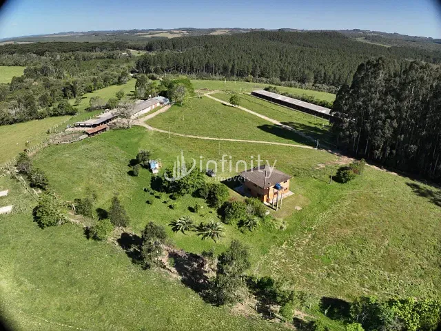 Fazenda com 1995000m² 4 quartos e 3 banheiros, à venda, no bairro Fazendinha em Rio Negro
