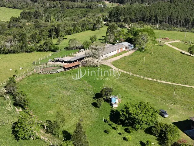 Fazenda com 1995000m² 4 quartos e 3 banheiros, à venda, no bairro Fazendinha em Rio Negro