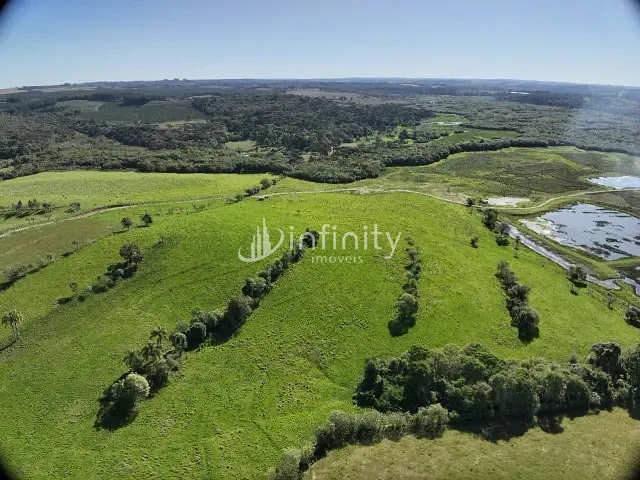 Fazenda com 1995000m² 4 quartos e 3 banheiros, à venda, no bairro Fazendinha em Rio Negro