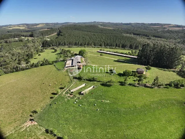 Fazenda com 1995000m² 4 quartos e 3 banheiros, à venda, no bairro Fazendinha em Rio Negro