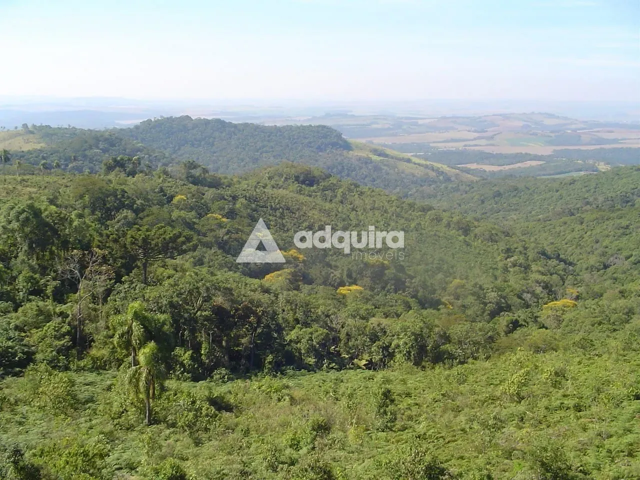 Fazenda, 253 hectares - Foto 1