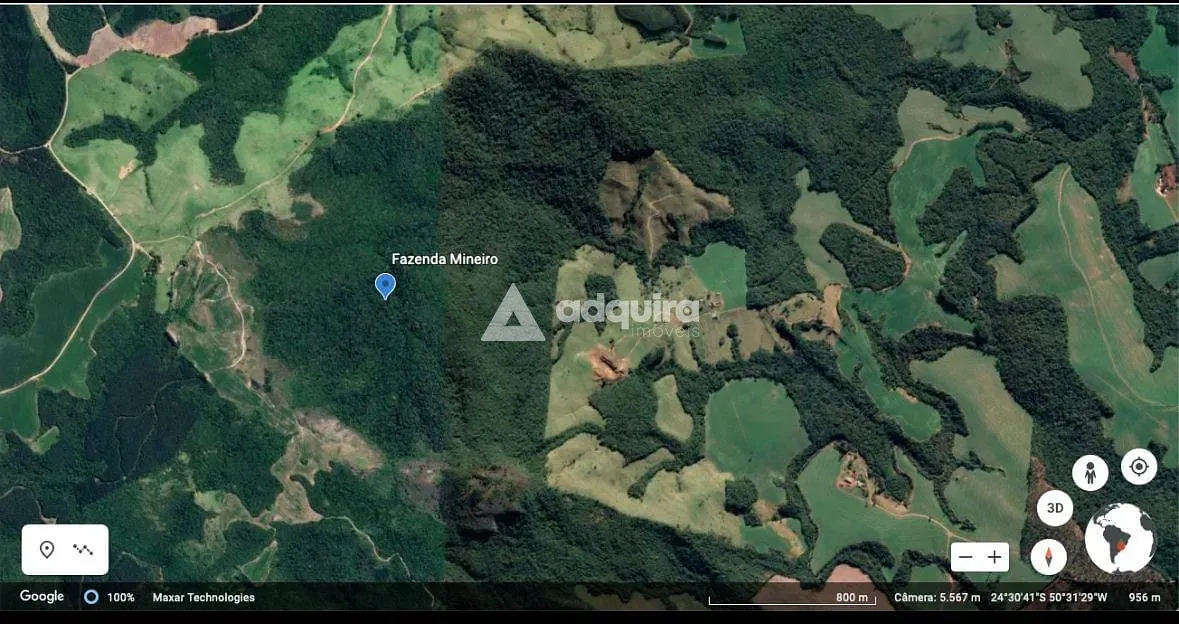 Fazenda, 253 hectares - Foto 3