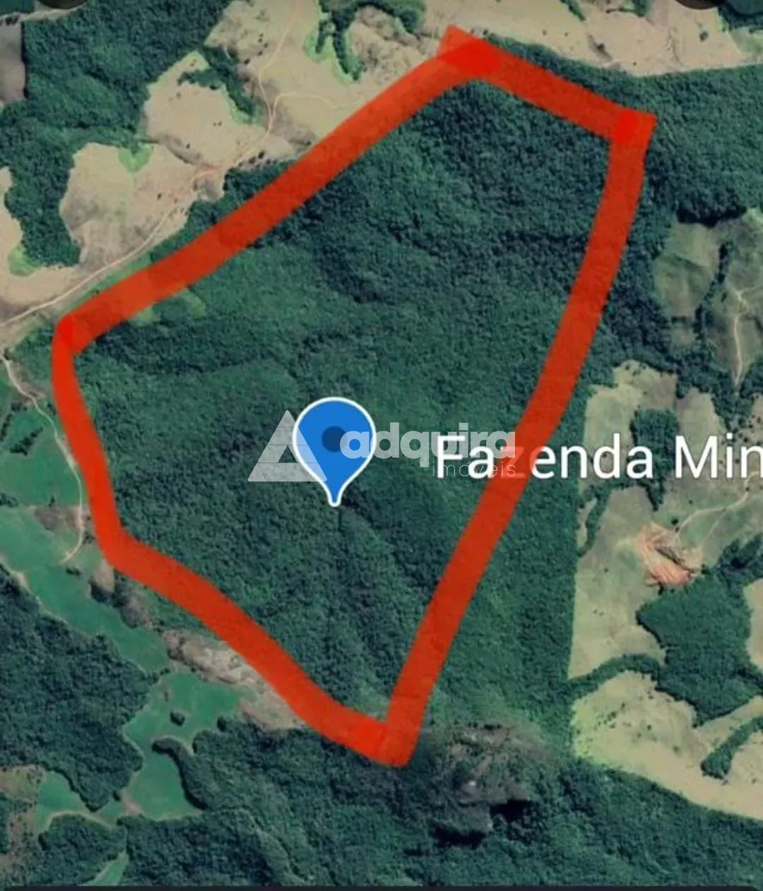 Fazenda, 253 hectares - Foto 4