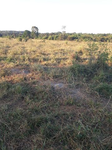 Fazenda com 274m² 3 quartos e 2 banheiros, à venda, no bairro Rural em Alta Floresta