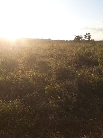 Fazenda com 274m² 3 quartos e 2 banheiros, à venda, no bairro Rural em Alta Floresta