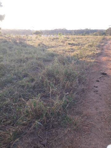 Fazenda com 274m² 3 quartos e 2 banheiros, à venda, no bairro Rural em Alta Floresta