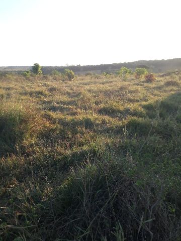 Fazenda com 274m² 3 quartos e 2 banheiros, à venda, no bairro Rural em Alta Floresta